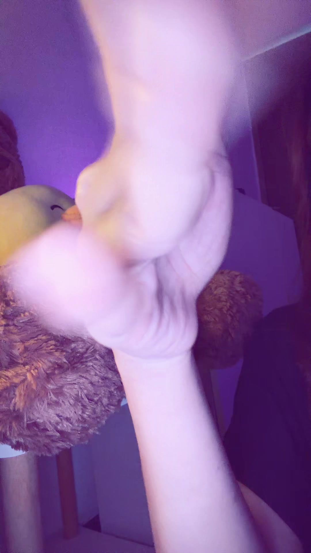 @♋