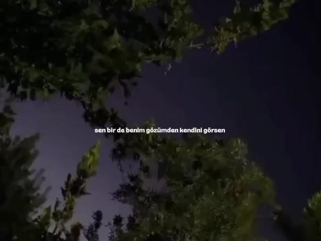 @1siyahsokak