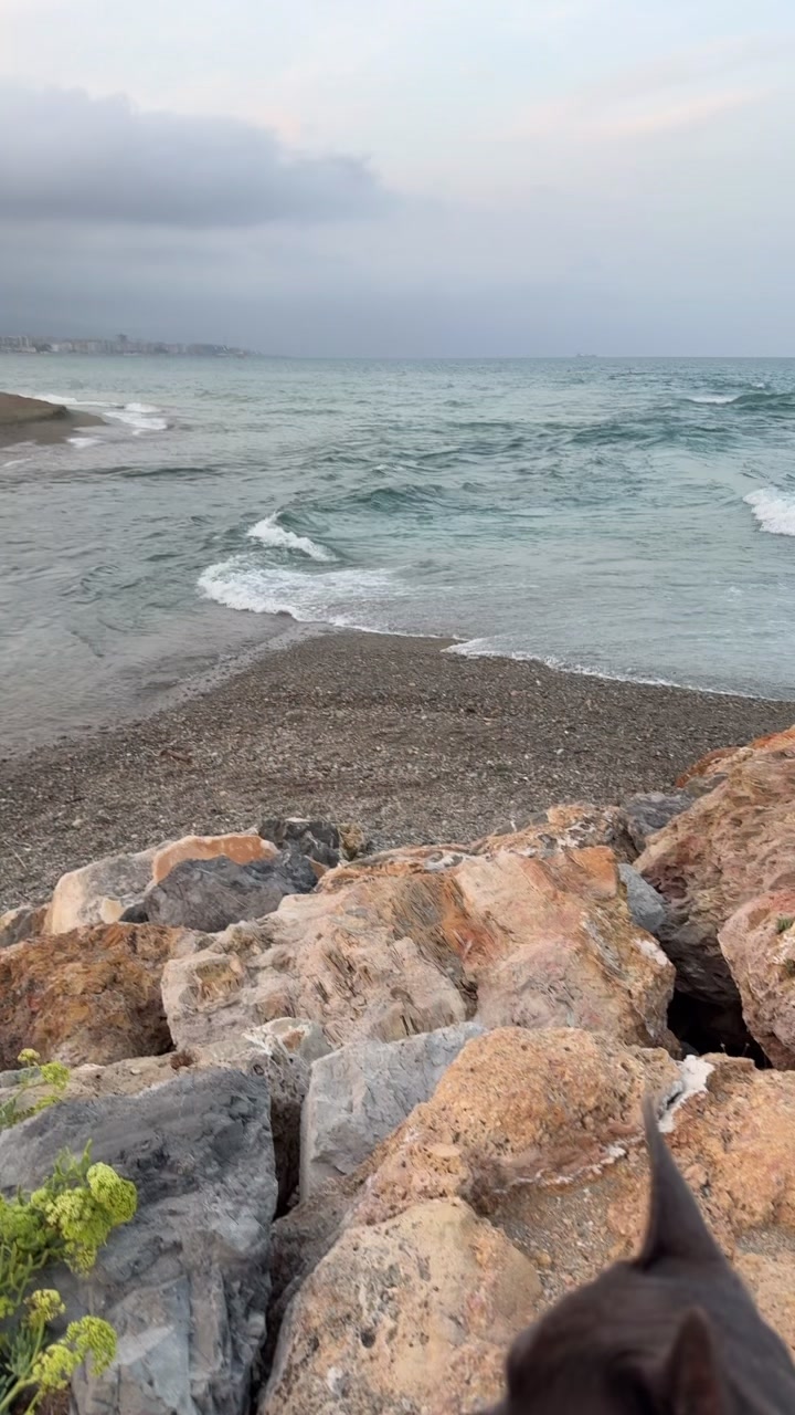 @𝓐𝓭𝓲𝓷𝓪