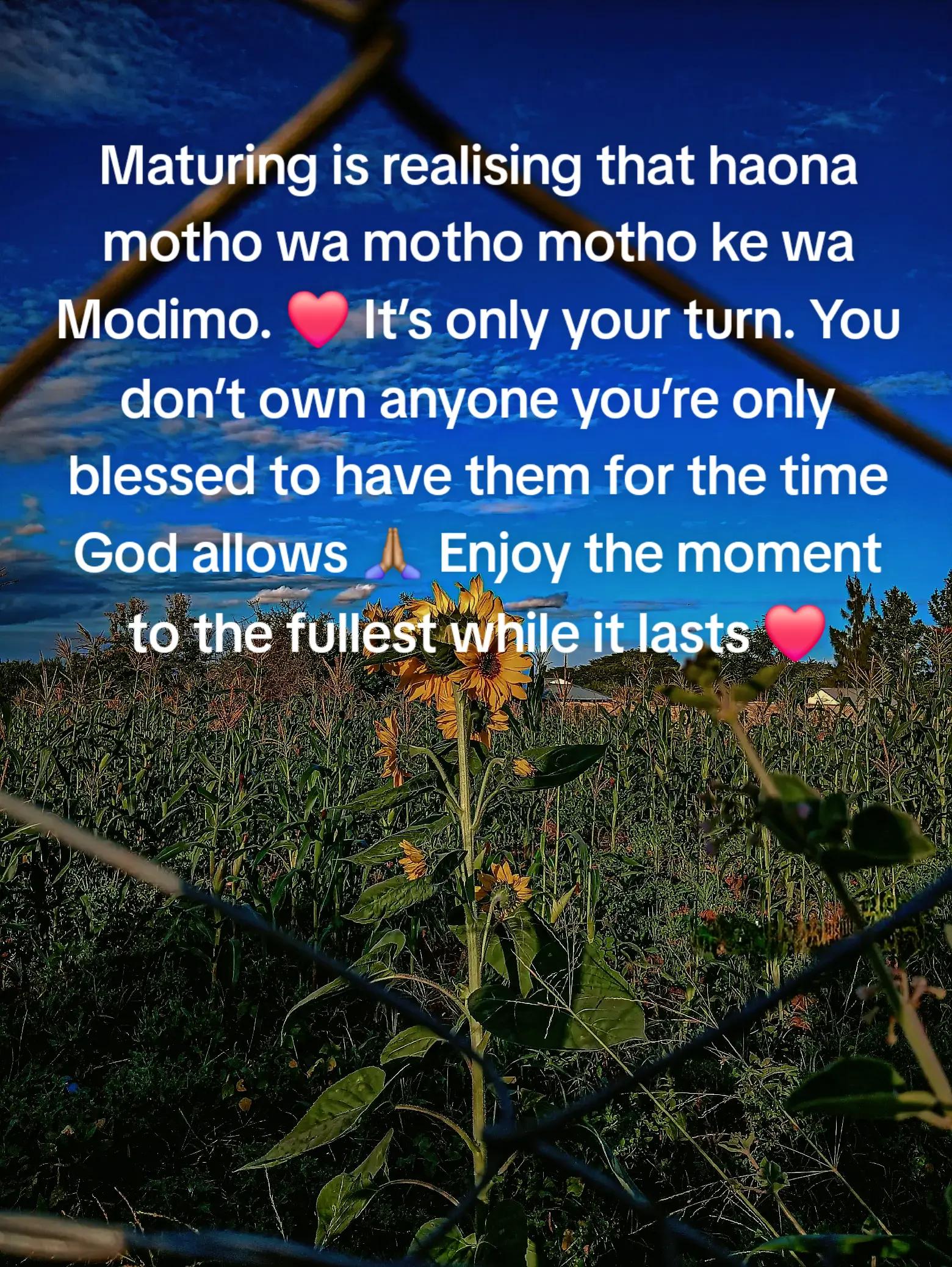 @OJ Setlogelo