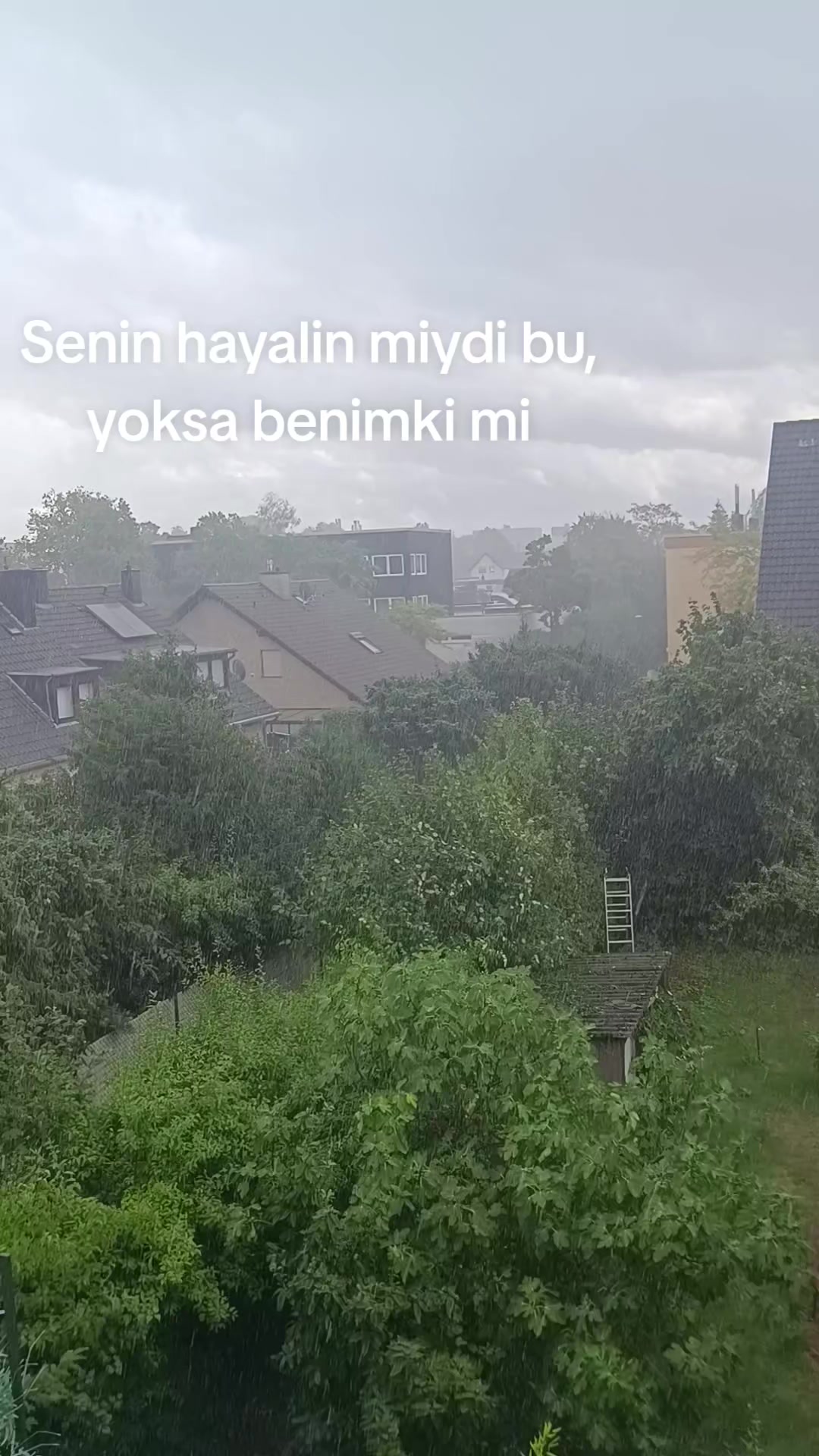 @saraa