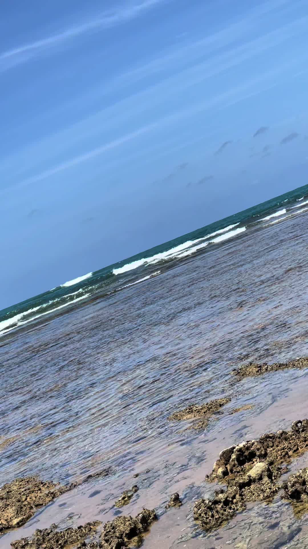 @thamy_th