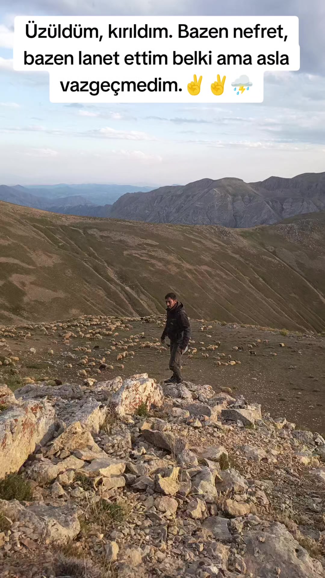 @Dersim doğruluk ticaret