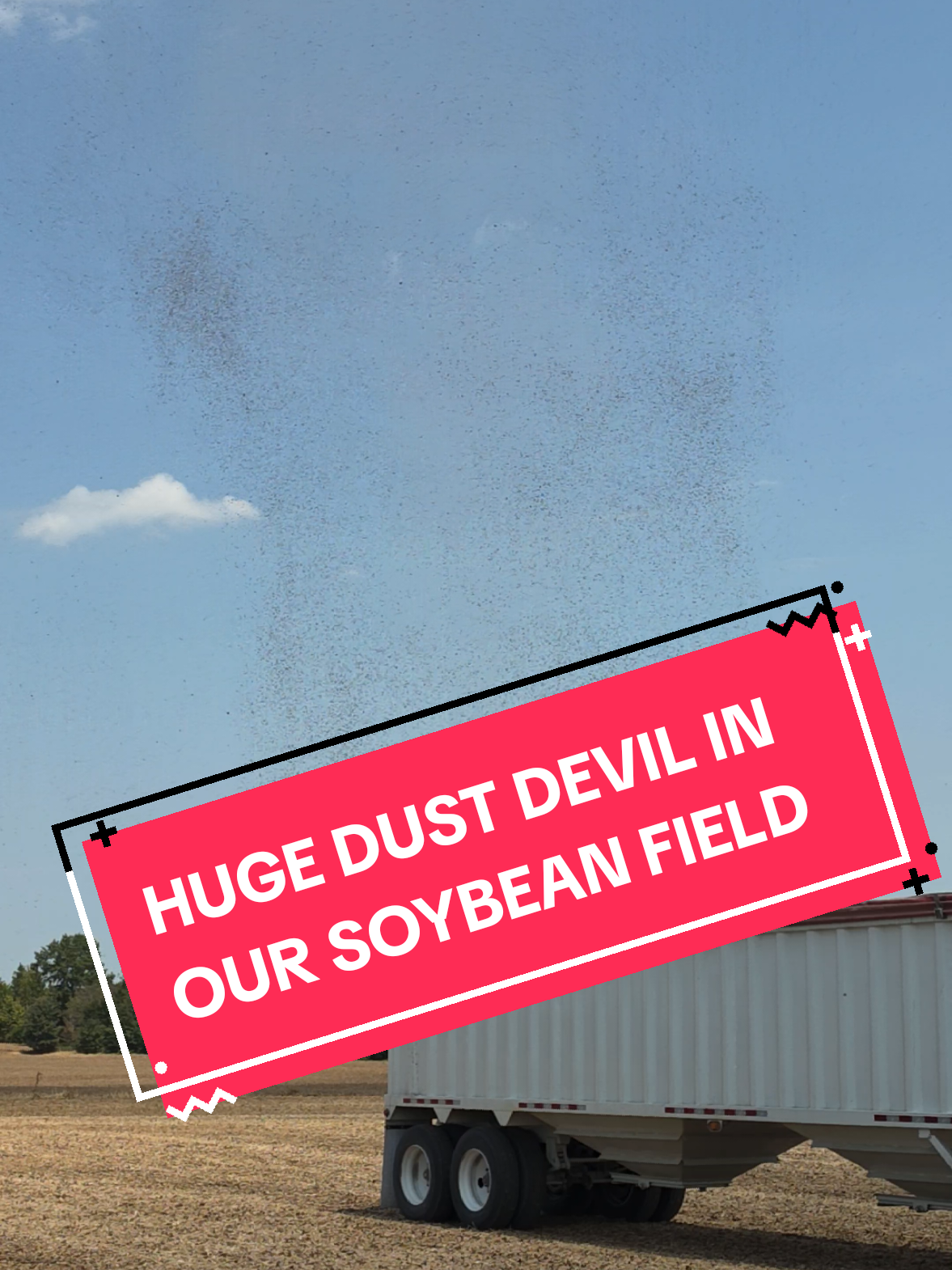 @Bushart Farms