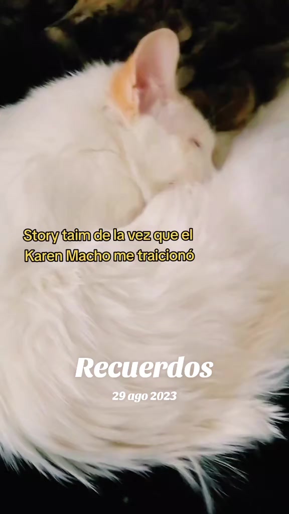 @Karen Macho