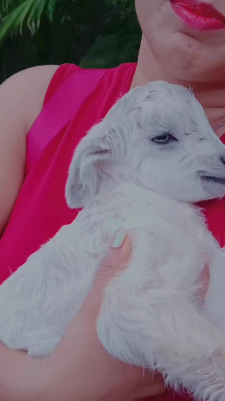 @Deepika