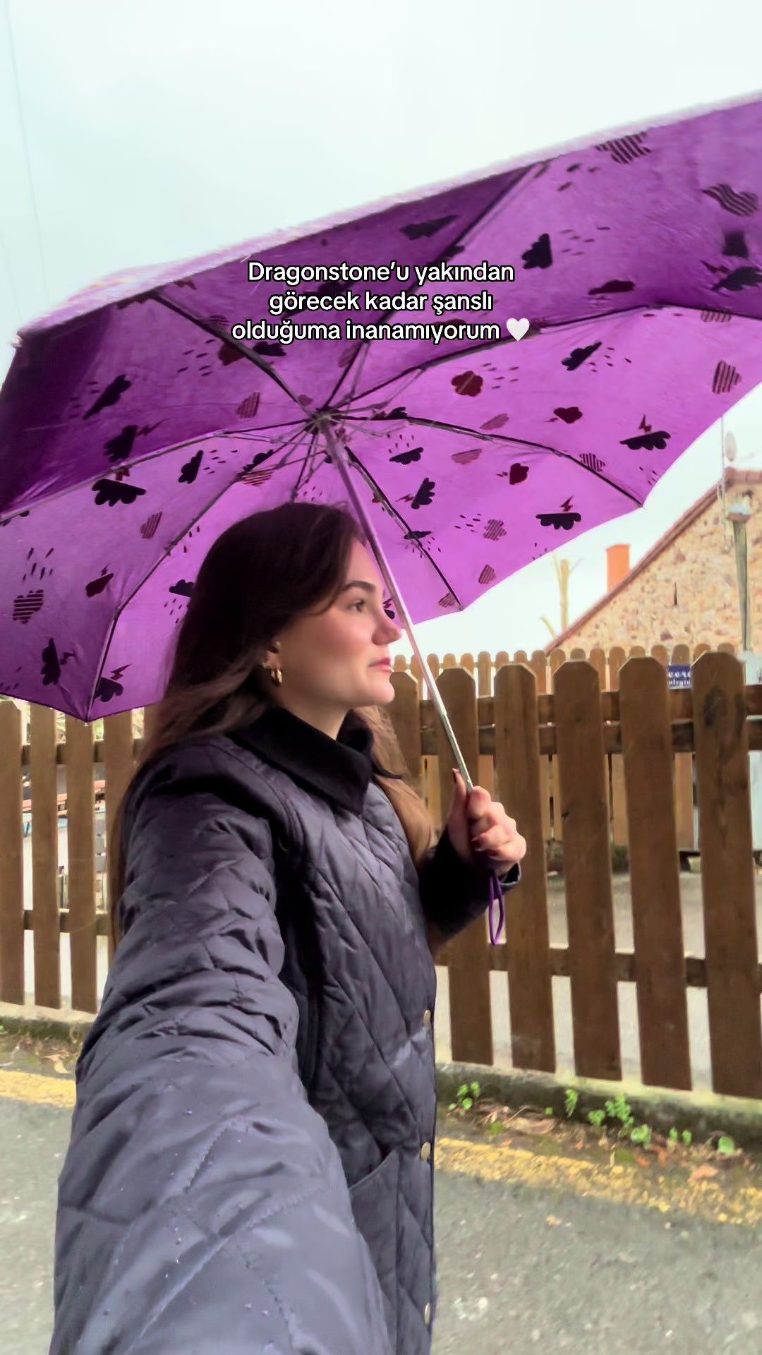 @Mina Ak&ccedil;in