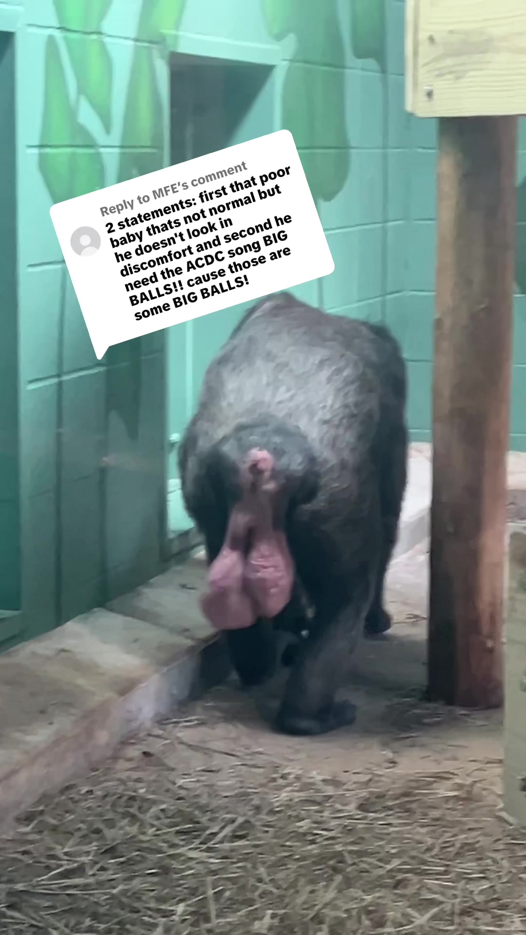 @cunstatutional_minge