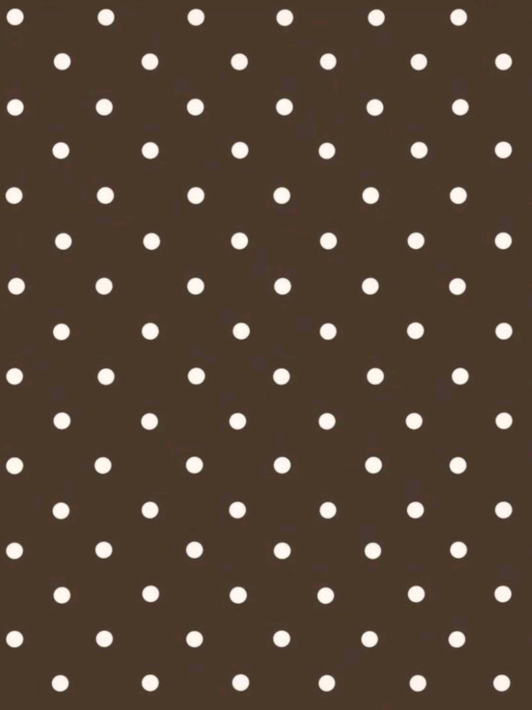 @୨ . ࣪ 𝕿𝖍𝖊𝖔  !  ⁶🦢