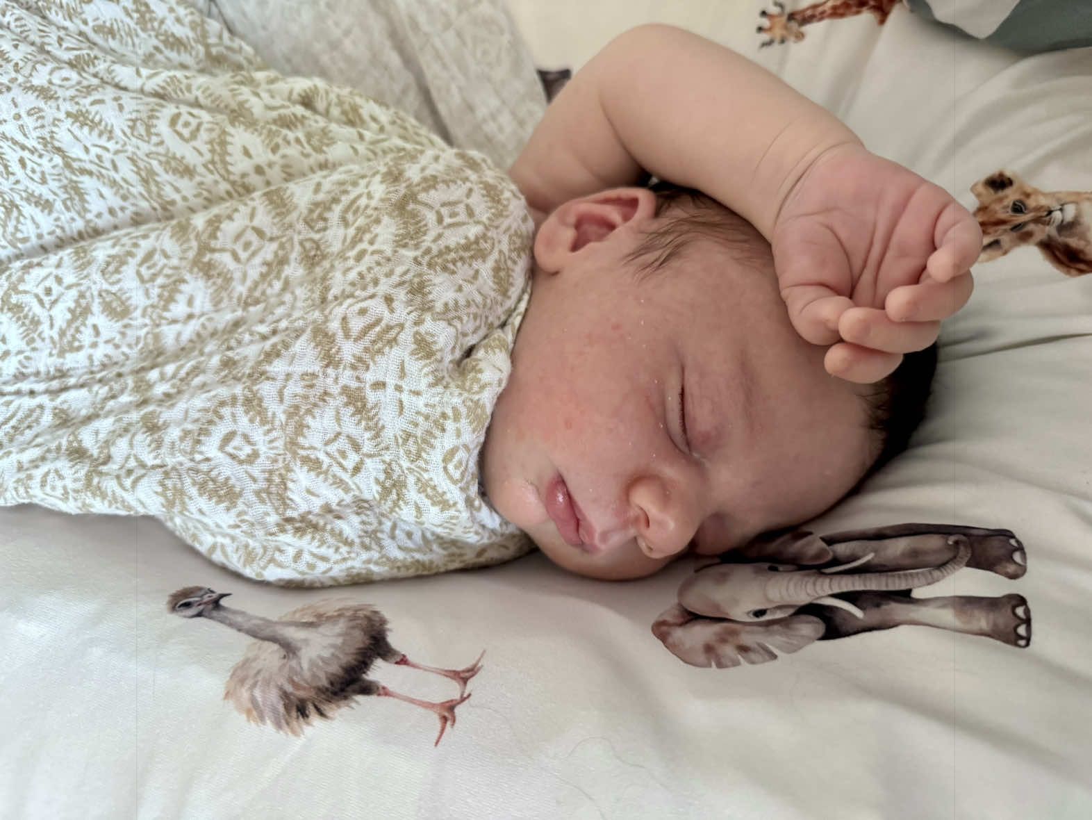 @momlifewithmrbaby