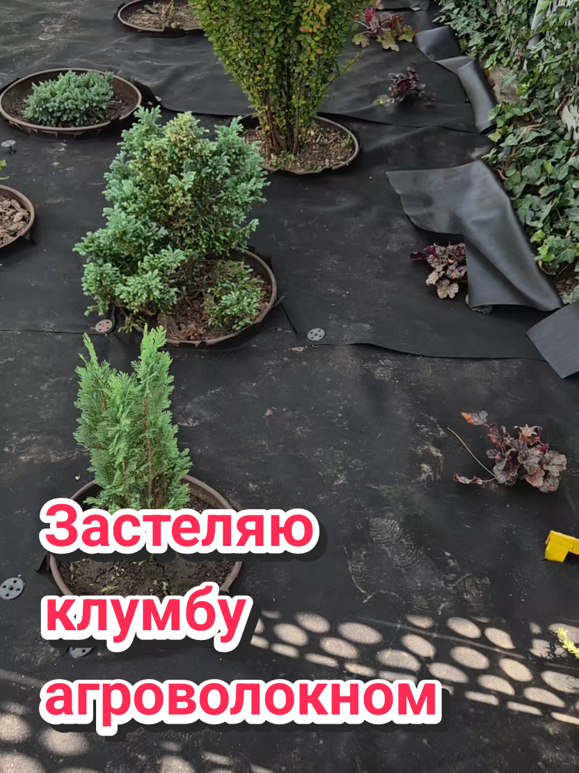 @Анна Амеліна