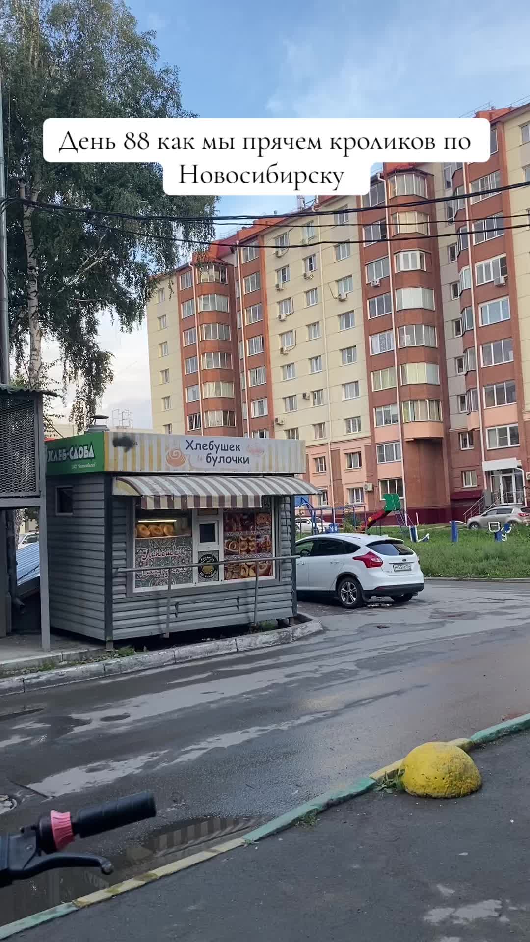 @Кролики