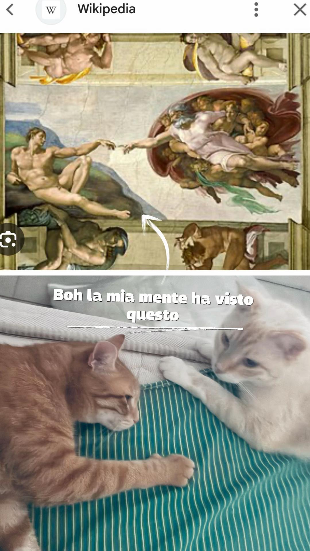 @Ale.marzi