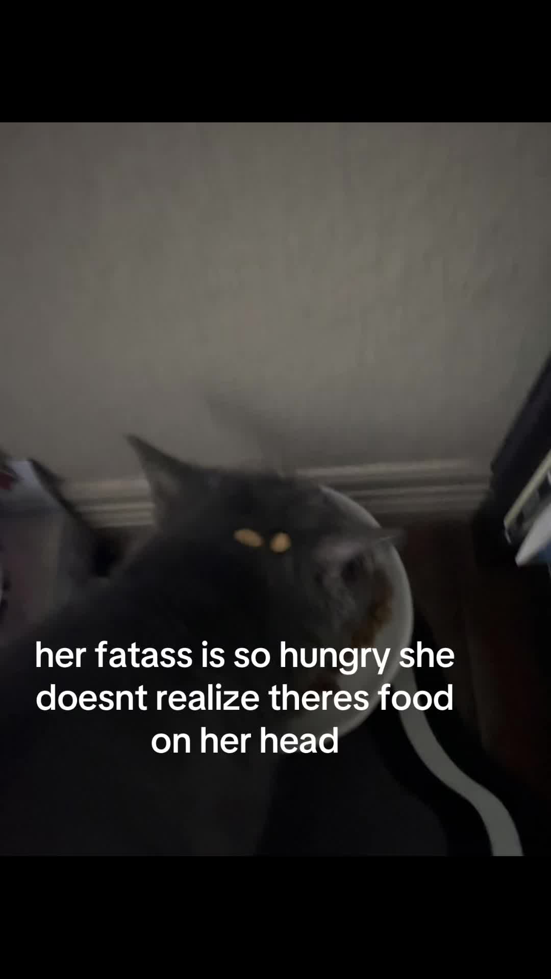 @dihstina