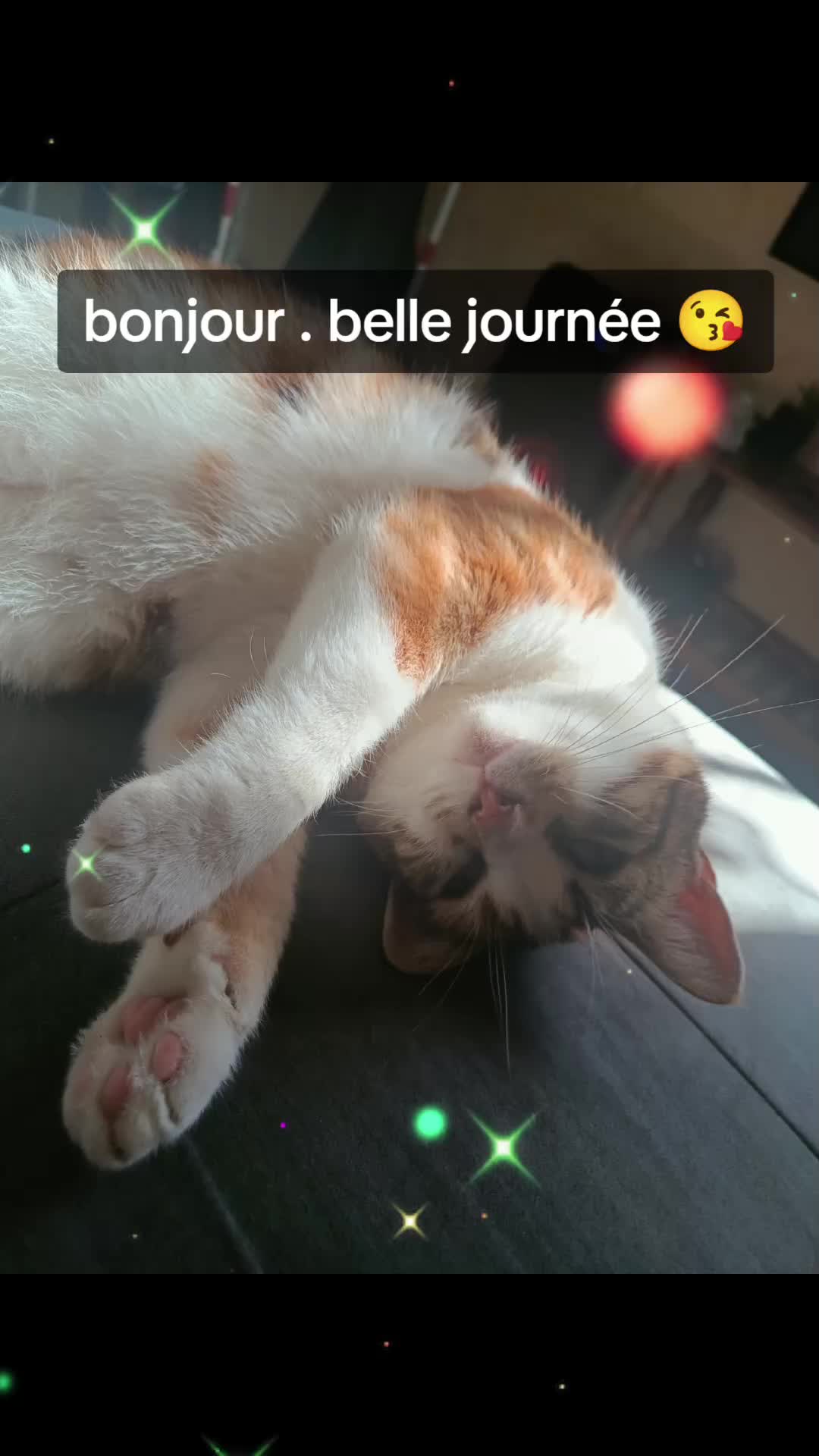 @🐞edwige33🐞