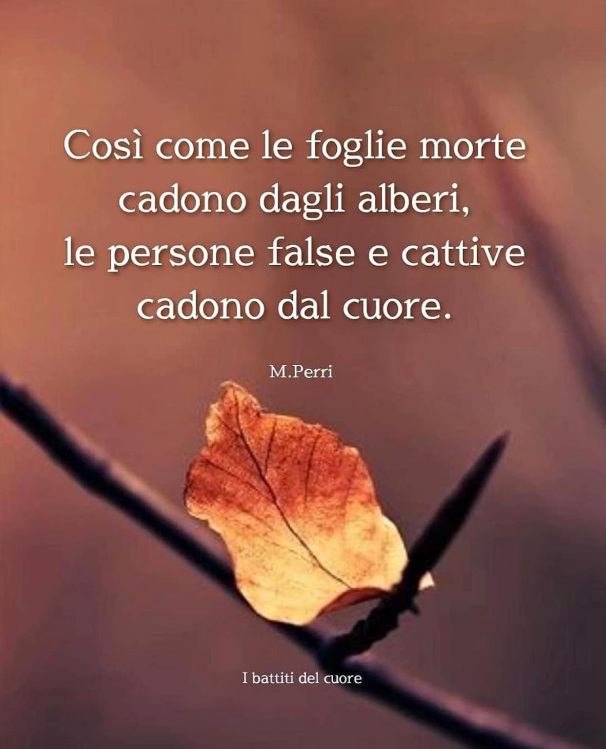 @Macellaio Di TikTok