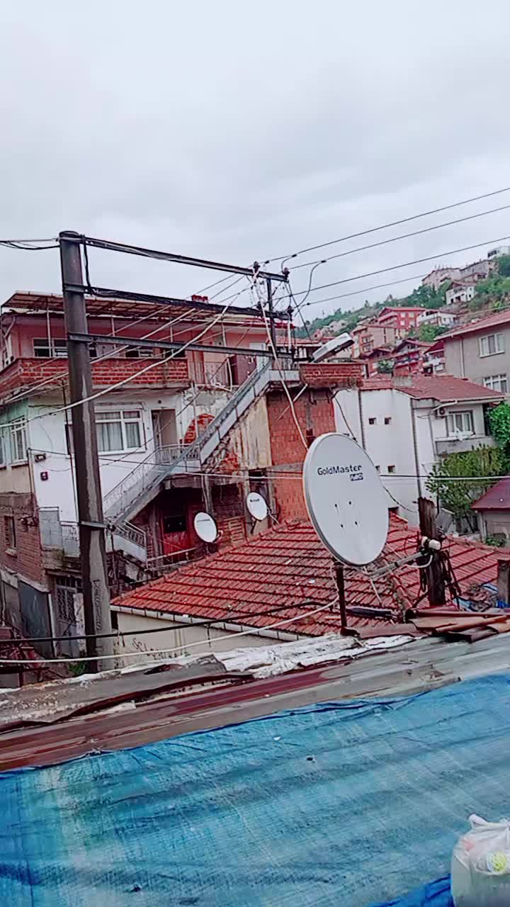 @sarı_papatya_roman _kızı