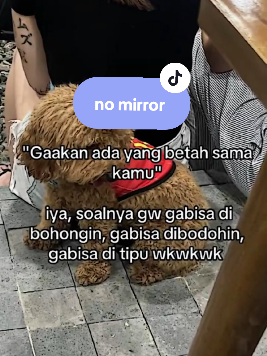@⋆𝐒𝐱𝐧𝐭𝐫 𝐓𝐞𝐦𝐩𝐥𝐚𝐭𝐞⋆