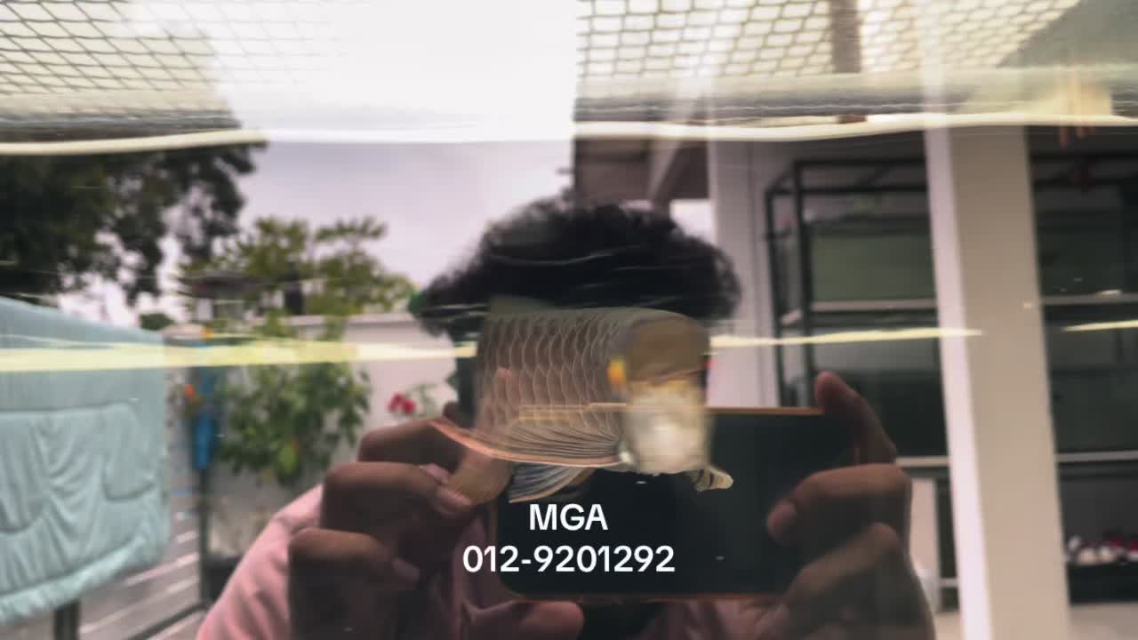 @MGA
