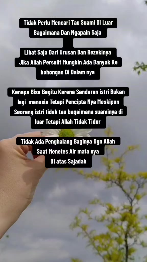 @Aysah ( mawar )