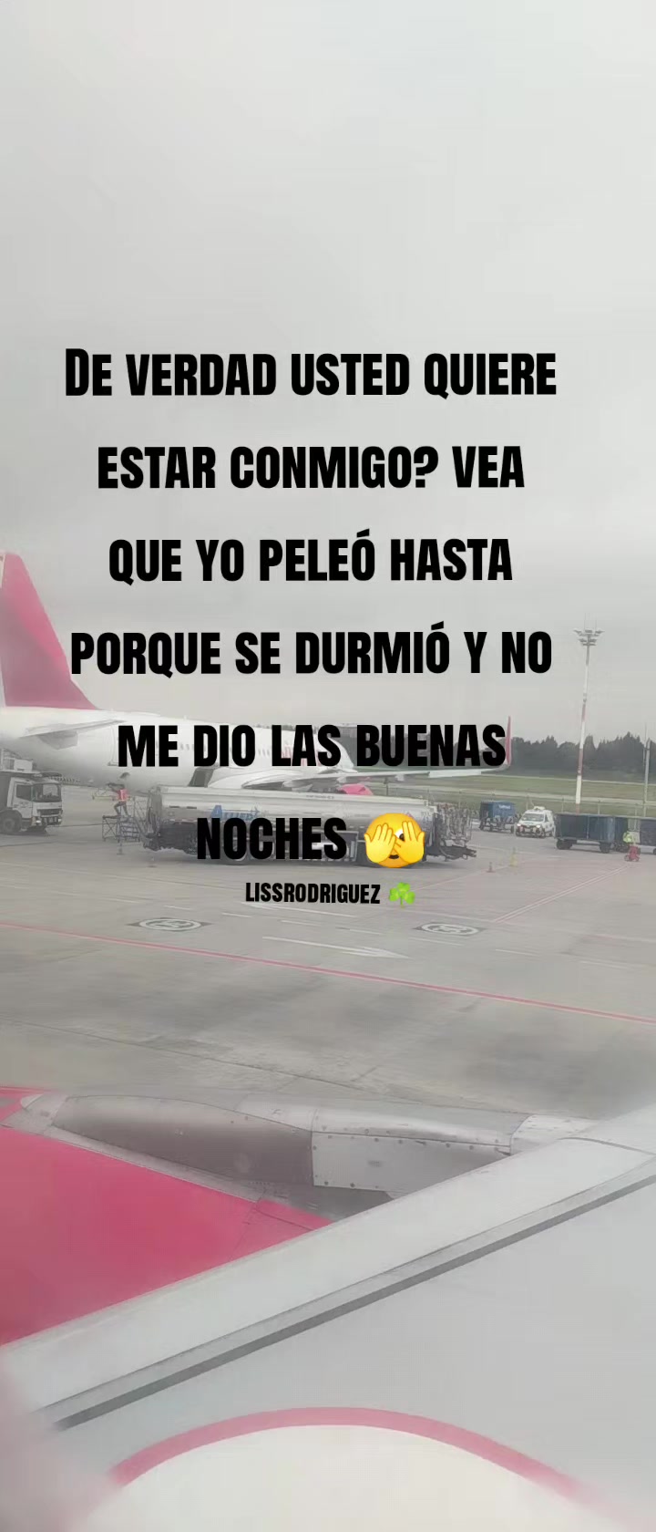 @lissrodriguez1219
