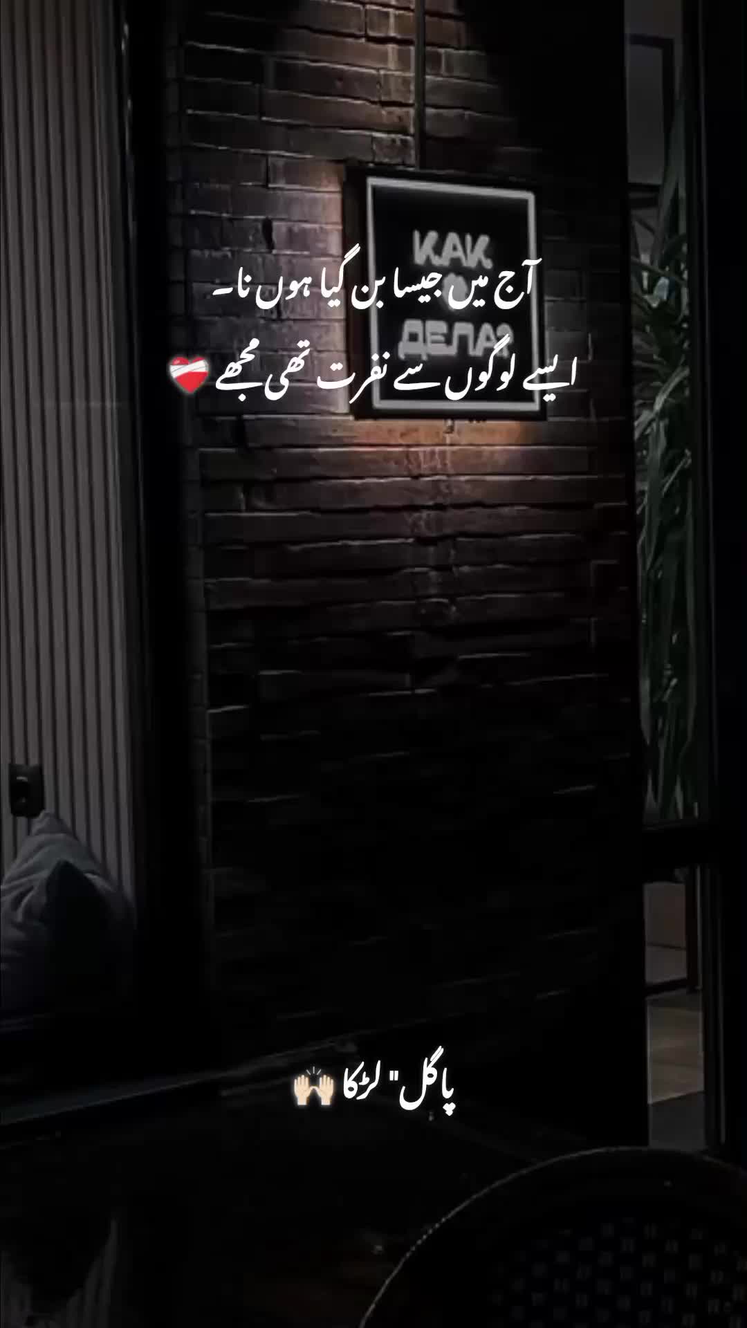 @پاگل لڑکا 🤍🥀