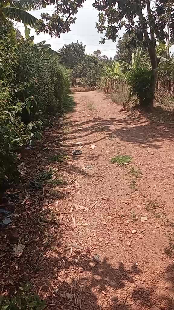 @Uganda 🇺🇬 yange na befumbe
