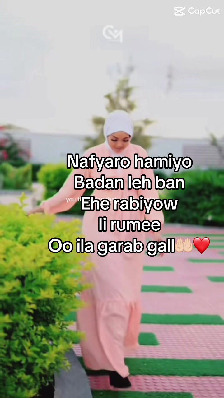 @Barwaqo nashaad 1
