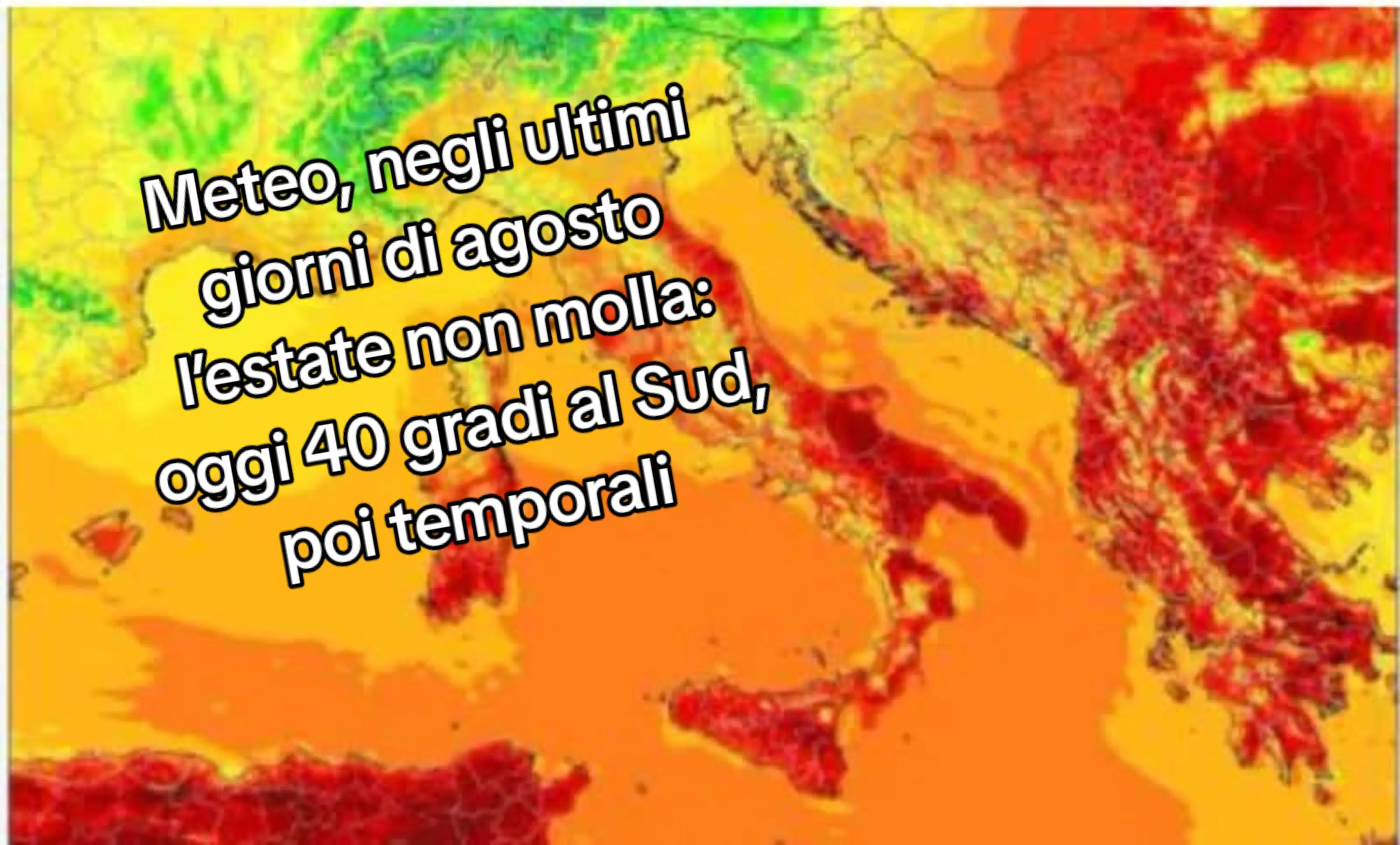 @felicia