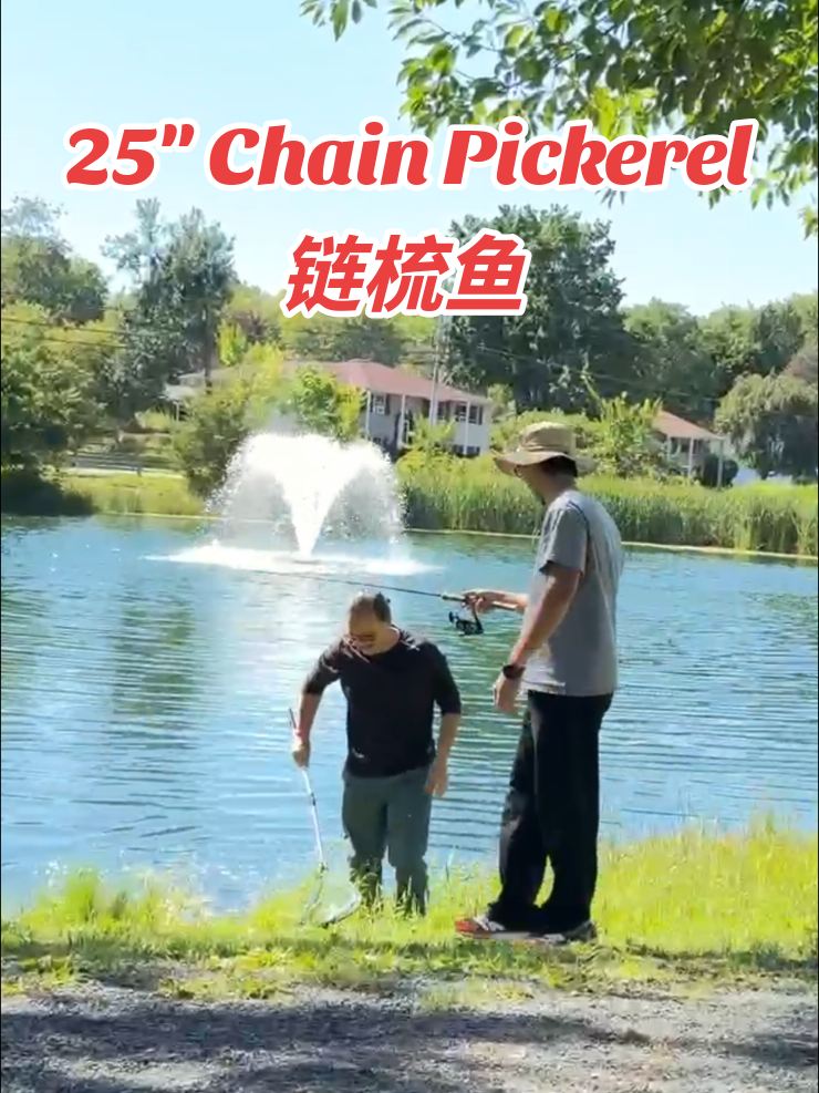 @纽约洌味