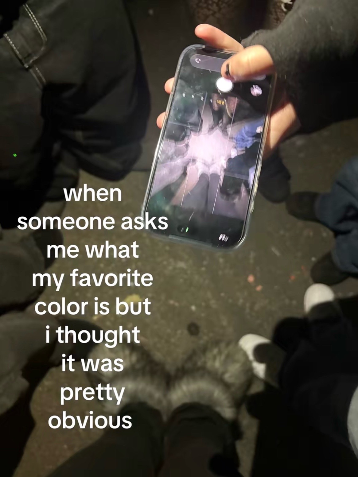 @kaya🐾