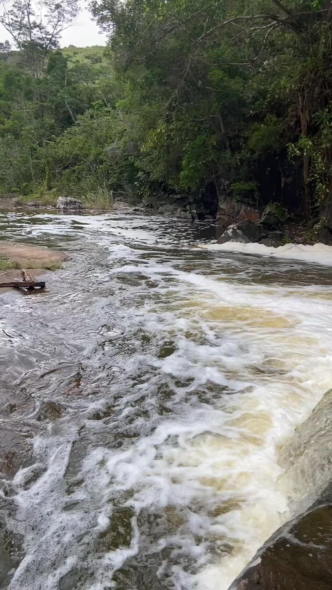 @Ro&ccedil;a 🤠🌱
