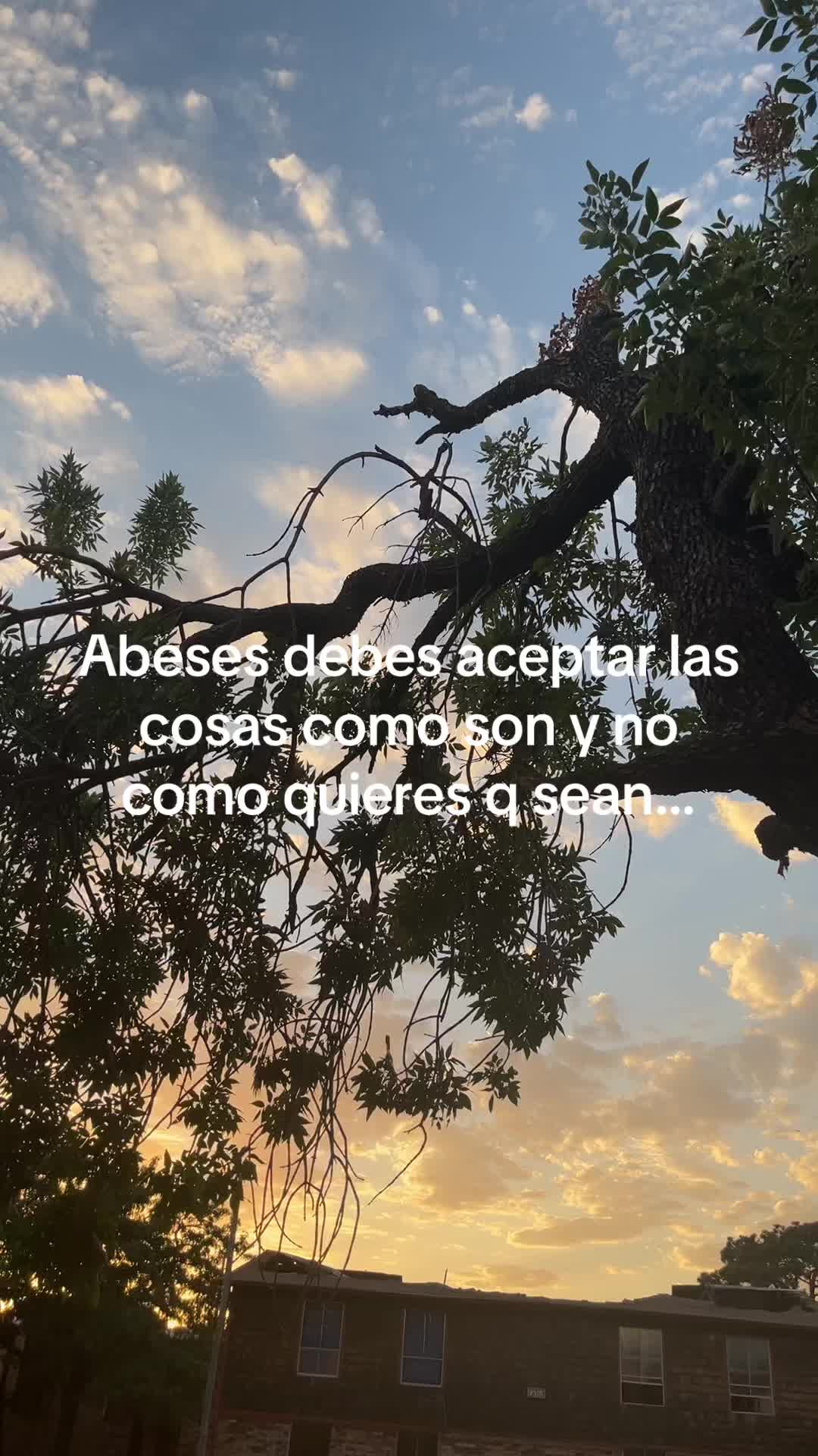 @Bibi
