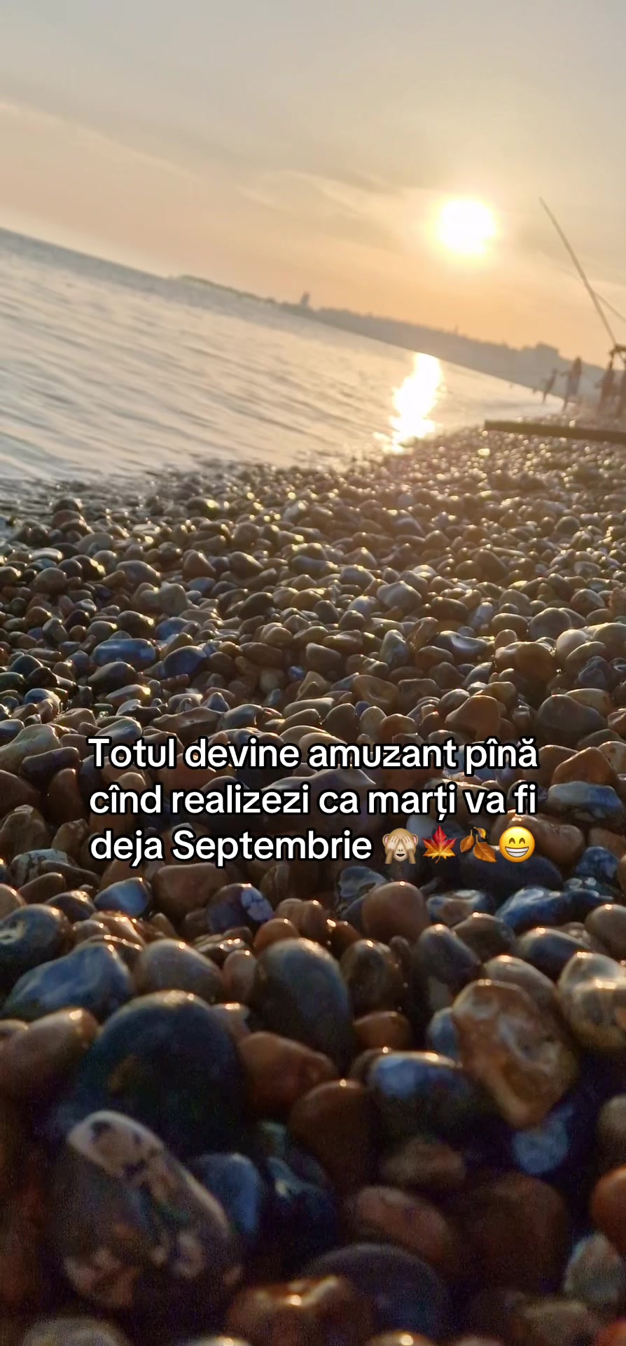 @Diana Batir