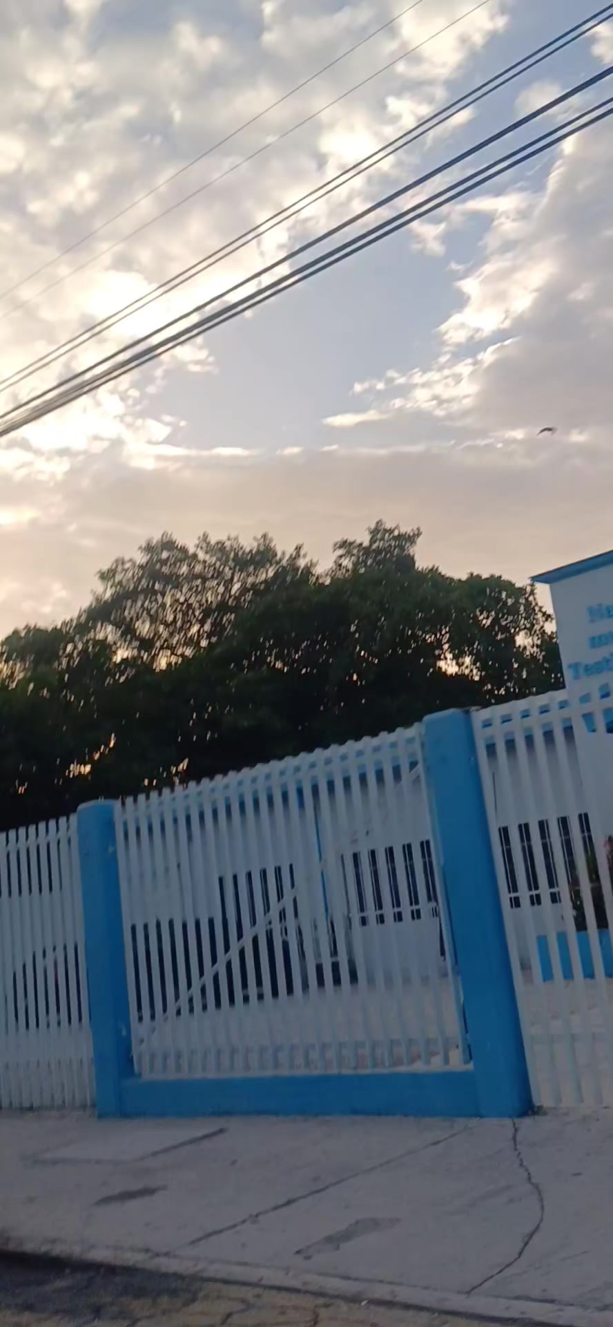 @Garcia Yolanda