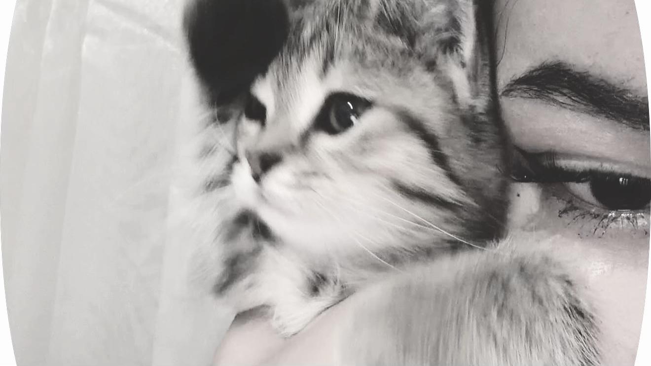 @𝑀𝑖𝑠𝑠 𝐴𝑠𝑀𝑎༆