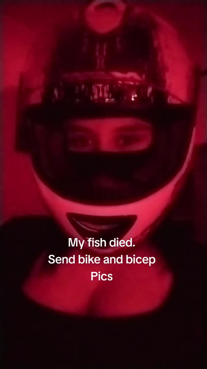@🐬