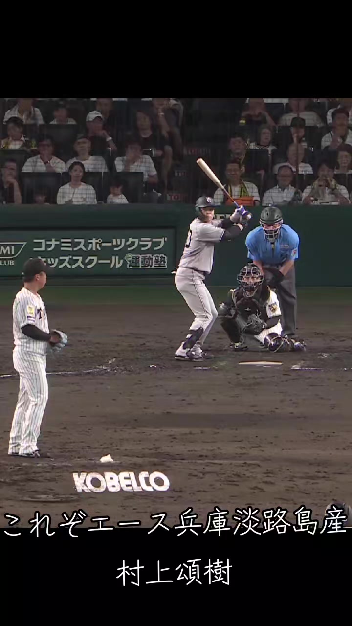 @🍑🐯トライダー🐯🍑