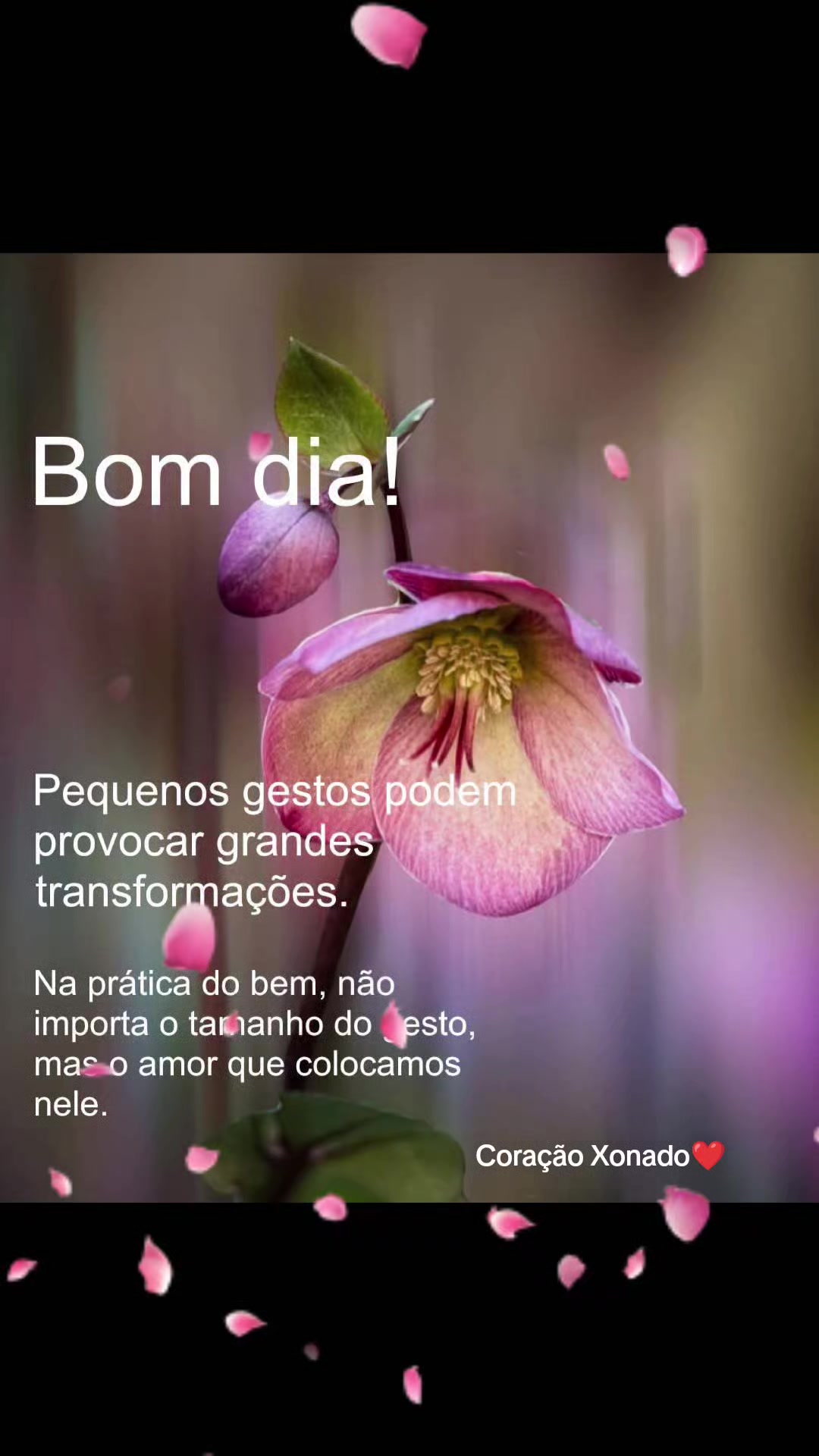 @Cora&ccedil;&atilde;o Xonado❤️