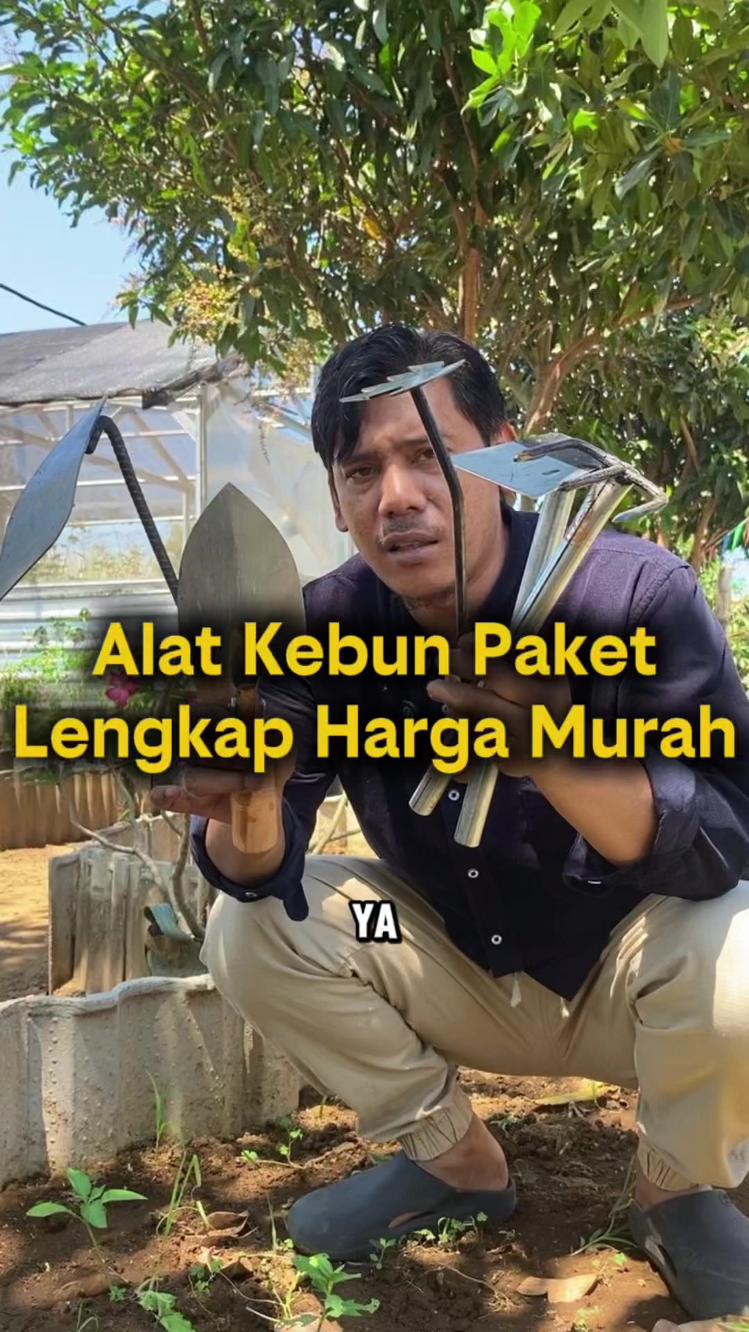 @Sabar Nasution
