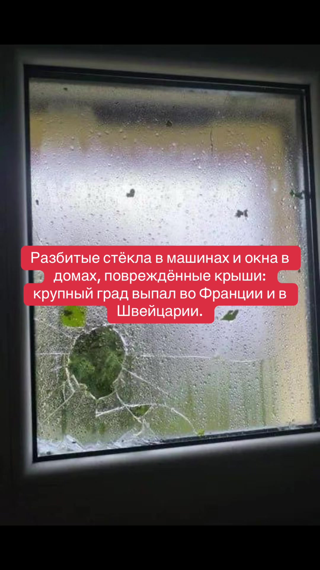 @news_to_you