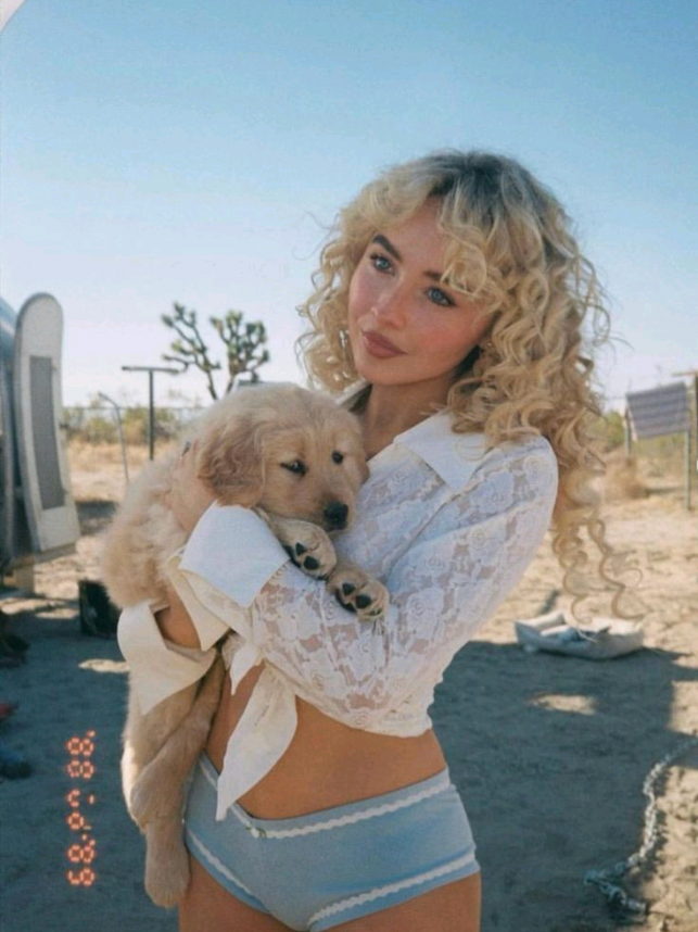 @𝑠𝑜𝑓𝑖𝑎🐾