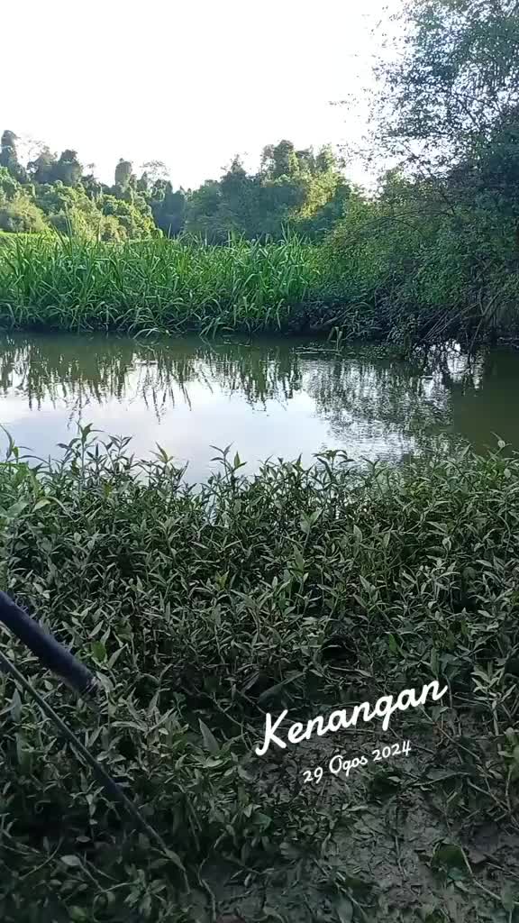 @Toman_Rimba_ll