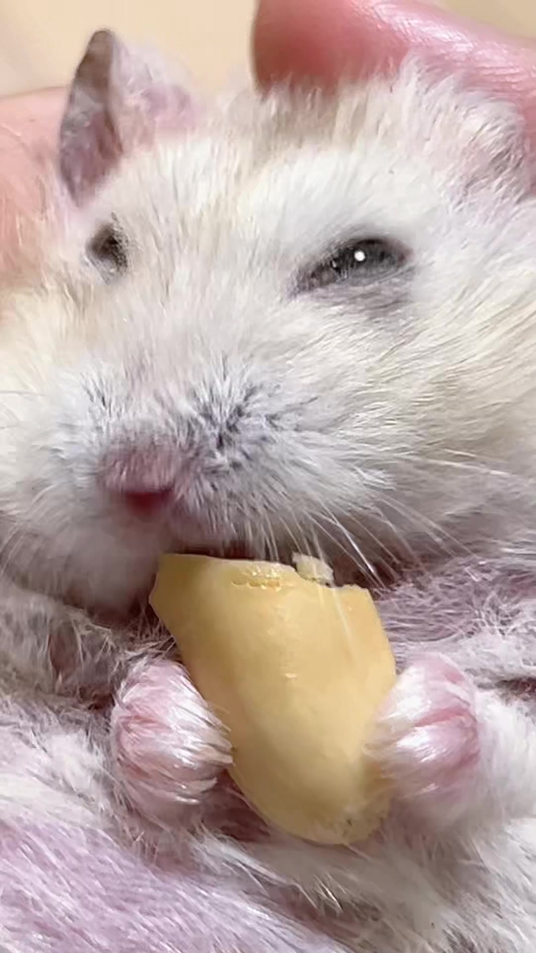 @𝒆𝒍𝒍𝒂✨