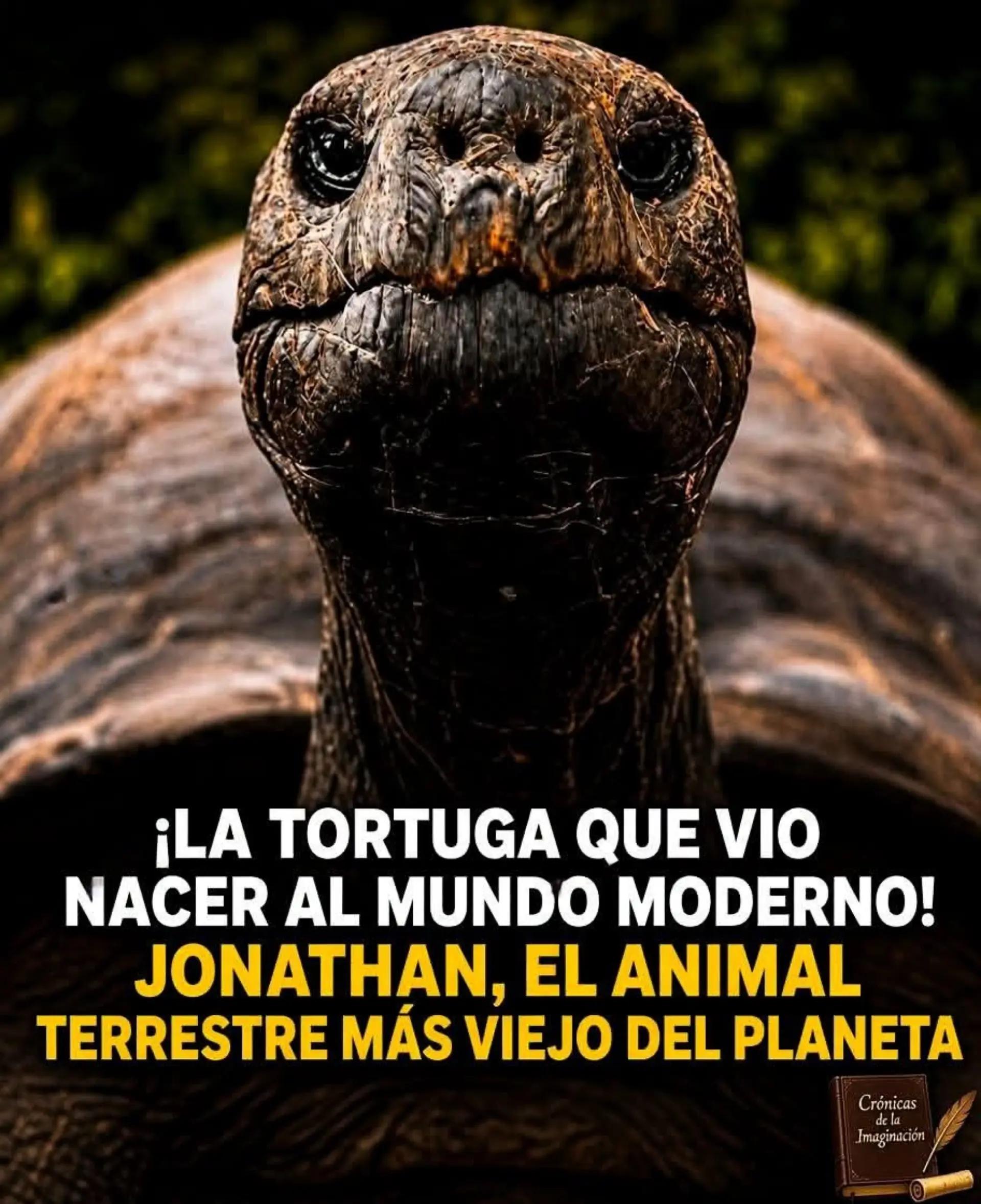 @♐ PECHI67 🇨🇴