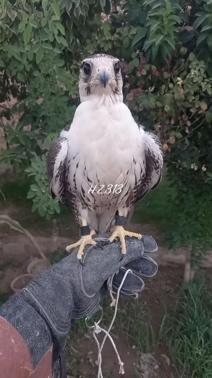 @🦅Hunter Zehri🪶