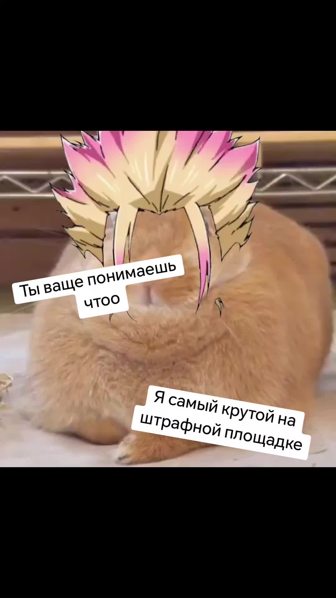@виви комахиновна