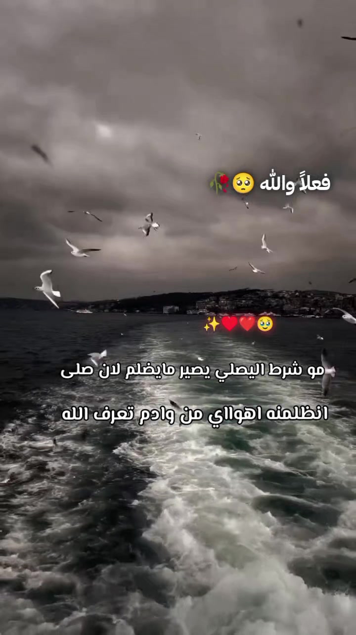 @𝓩𝓐𝓗𝓡𝓐𝓐
