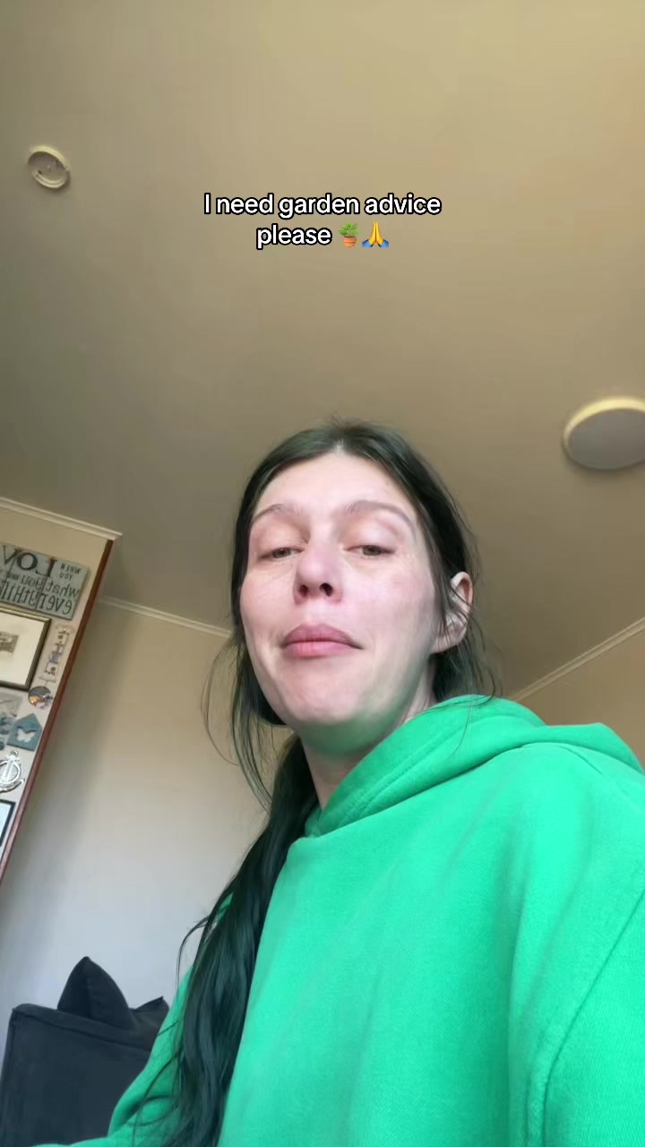 @DanisDailyDoseD-Low