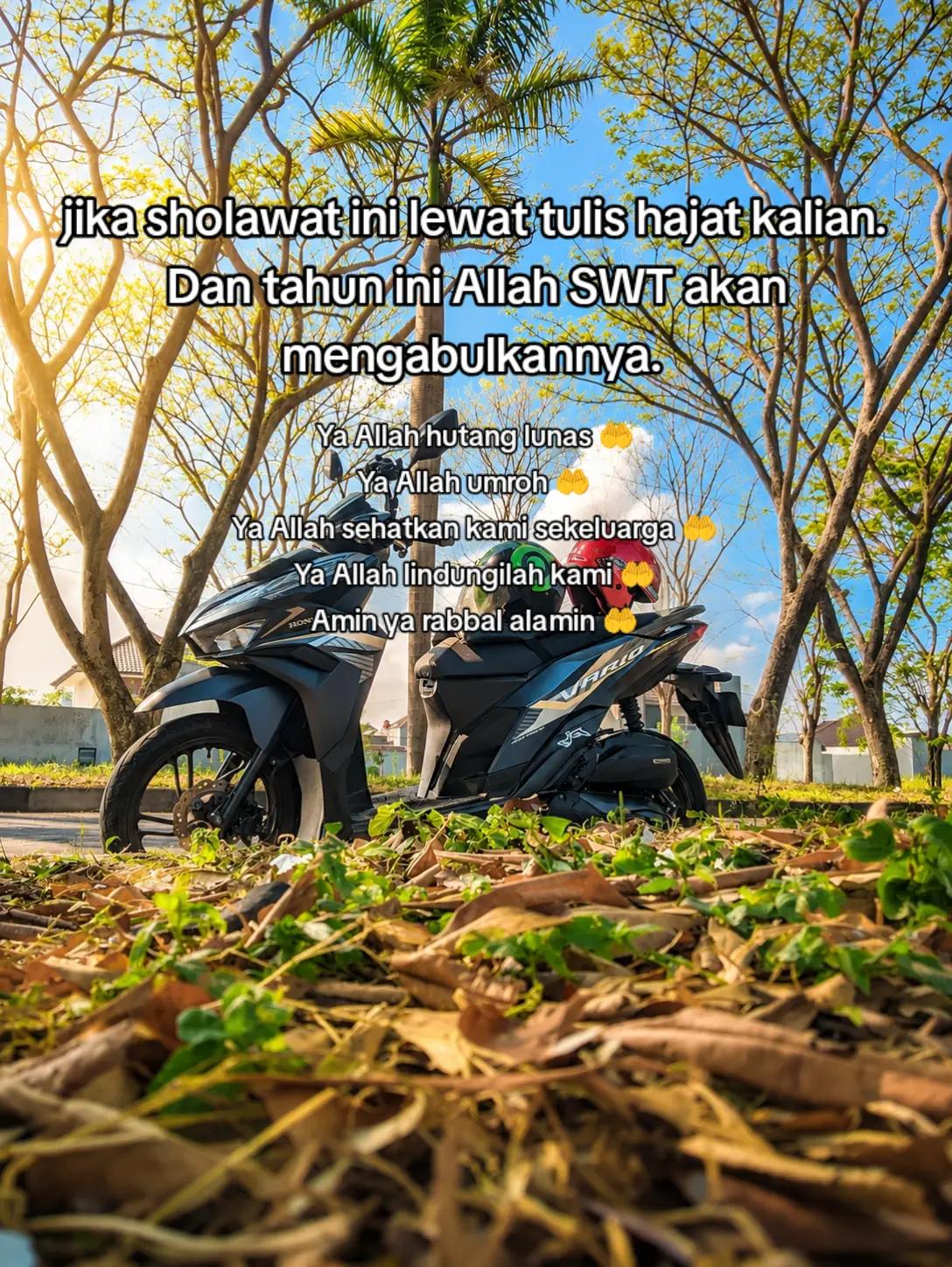 @𝓓𝓸𝓷𝓲 𝓟𝓾𝓻𝓫𝓪𝔂𝓪. 18